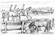 Pferde am Ponyhof Georgenbruch, Müssingen 19